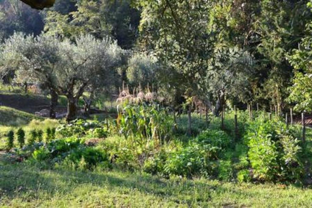 Villa De Luccheri Frasso Telesino Exterior foto