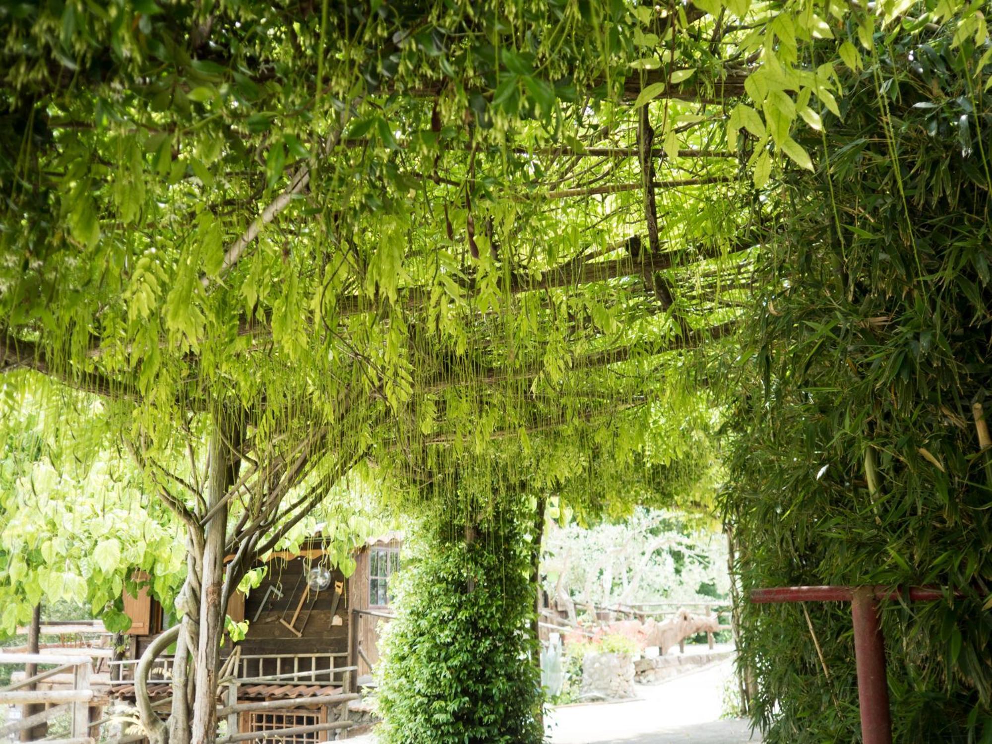 Villa De Luccheri Frasso Telesino Exterior foto